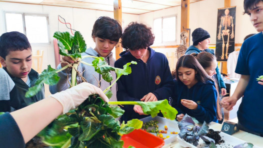 imagen Estudiantes del Magisterio realizaron la cosecha y pesaje en la huerta escolar