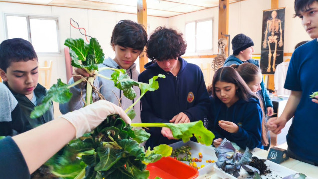 imagen Estudiantes del Magisterio realizaron la cosecha y pesaje en la huerta escolar