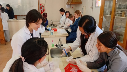 imagen Estudiantes de Ciencias Naturales elaboraron geopolímeros a partir de residuos sólidos