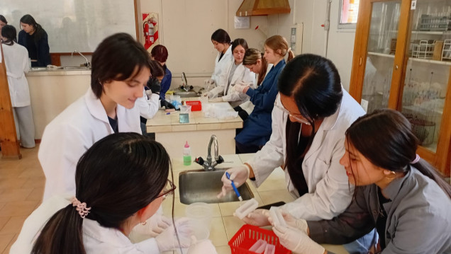 imagen Estudiantes de Ciencias Naturales elaboraron geopolímeros a partir de residuos sólidos