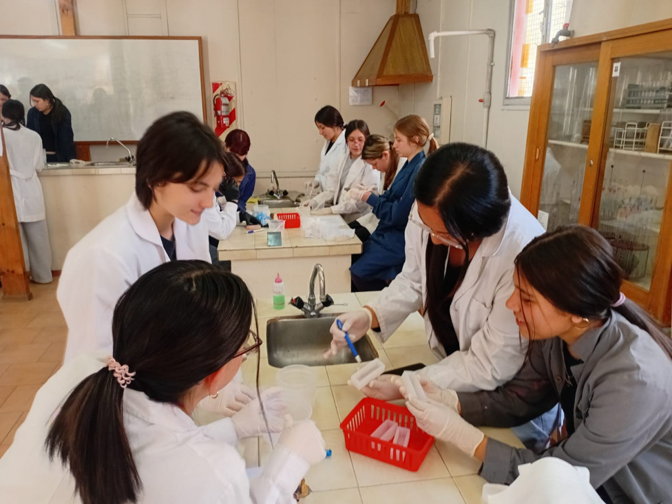 imagen Estudiantes de Ciencias Naturales elaboraron geopolímeros a partir de residuos sólidos