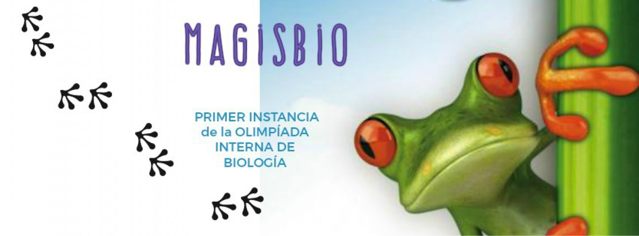 imagen Magisbio